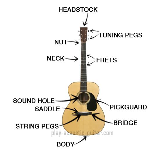 acoustic guitar parts. Acoustic Guitar Parts