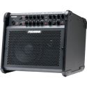 Acoustic Guitar Amps: Fishman Loudbox 100