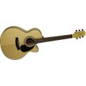 Takamine Guitars: Jasmine NEX Cutaway S34CFM