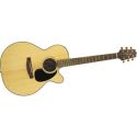 Takamine Guitars: G440C