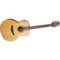 Takamine Guitars: GS430S G NEX