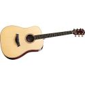 Taylor Acoustic Guitars: DN8 Dreadnought