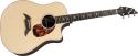 Breedlove Guitars Focus Premier