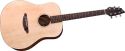 Breedlove Guitars Passport D200/SMP