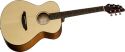 Breedlove Guitars Passport C200/SMP