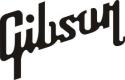 Gibson Acoustic Guitars