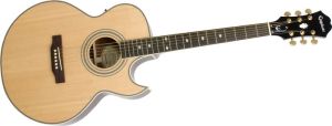 Click to buy Epiphone Acoustic Electric: PR5-E from Musician's Friends!