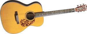 Click to buy Blueridge Guitars: BR163A from Musician's Friends!