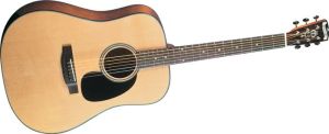 Click to buy Blueridge Guitars: BR40 from Musician's Friends!