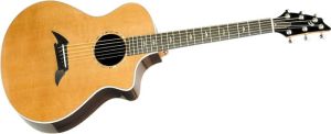 Click to buy Breedlove Guitars: Focus from Musician's Friends!