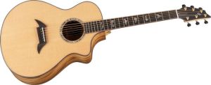 Click to buy Breedlove Guitars: Northwest Classic from Musician's Friends!