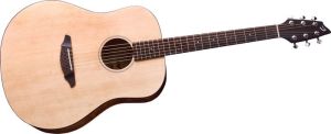 Click to buy Breedlove Guitars: Passport D200/SMP from Musician's Friends!