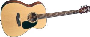 Click to buy Blueridge Guitars: BR43 from Musician's Friends!