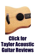 Taylor Acoustic Guitar