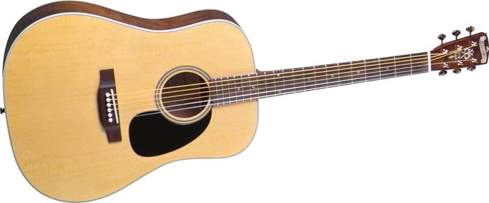 Click to buy Blueridge Guitars: BR60 from Musician's Friends!