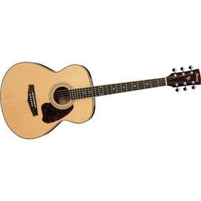 Click to buy Ibanez Acoustic Guitar: PC25WC PF Series  from Musician's Friends!