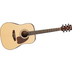 Click to buy Ibanez Acoustic Guitar: PF30S from Musician's Friends!