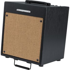 Click to buy Acoustic Guitar Amps: Ibanez Troubadour T35 35W from Musician's Friends!