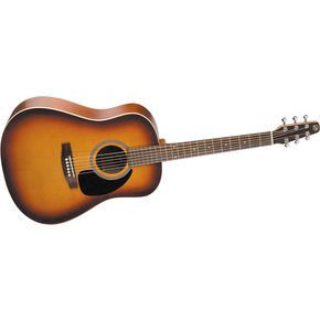 Click to buy Seagull Guitars: Coastline S6 GT Dreadnoughtfrom Musician's Friends!