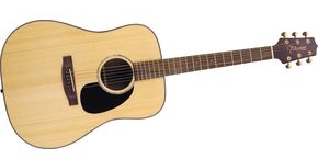 Takamine G340