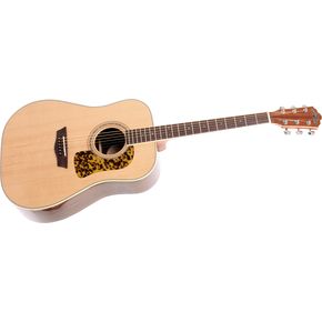 Click to buy Washburn Acoustic Guitars: D64SW Dreadnought from Musician's Friends!