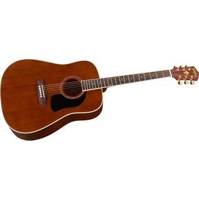 Click to buy Washburn Acoustic Guitars: WD100DL Dreadnought from Musician's Friends!