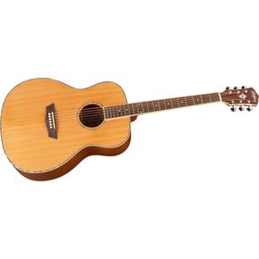Click to buy Washburn Acoustic Guitars: WG16S Grand Auditorium from Musician's Friends!