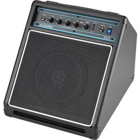 Click to buy Acoustic Guitar Amps: Acoustic AG15 15W Combo from Musician's Friends!