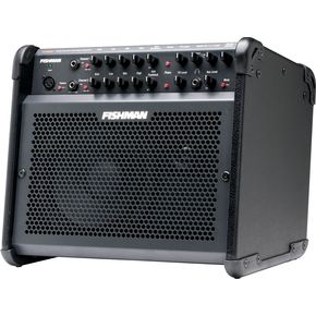 Click to buy Acoustic Guitar Amps: Fishman Loudbox 100 from Musician's Friends!